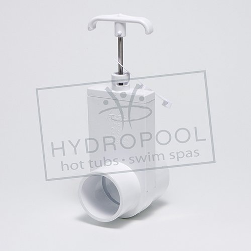 2.5in SxSPG Gatevalve